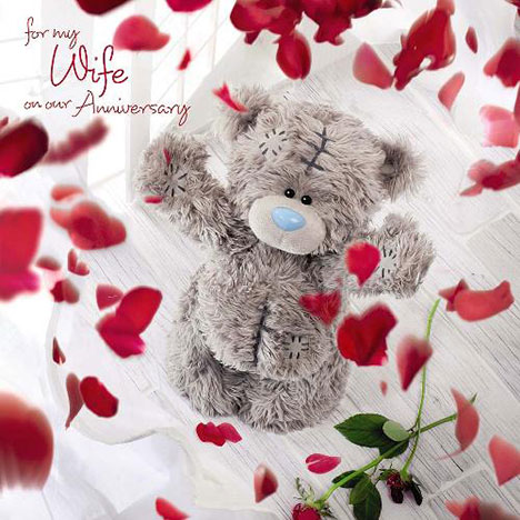 3D Holographic Wife Anniversary Me to You Bear Card £2.99